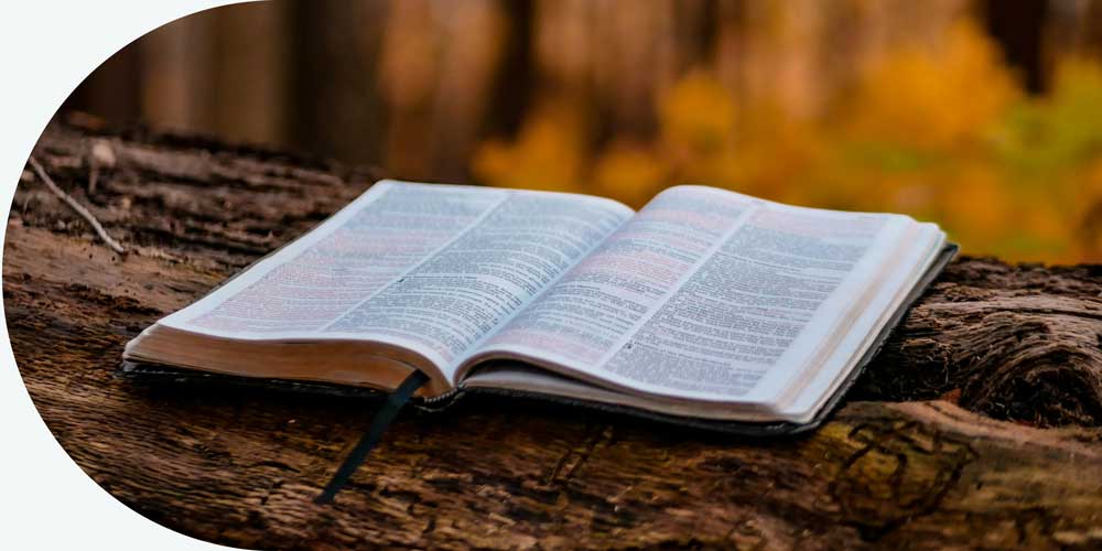 bible ouverte dans la fôret