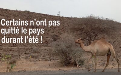News Letter 5 de la Com’Mission